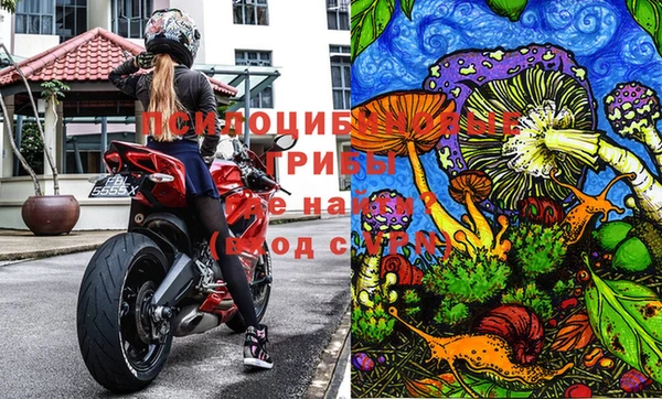 твердый Невельск