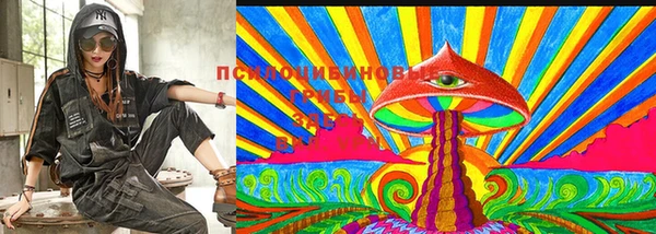 ПСИЛОЦИБИНОВЫЕ ГРИБЫ Анива