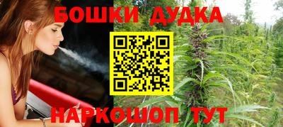 прущие крисы Бийск
