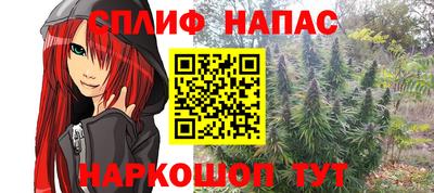прущие крисы Бийск