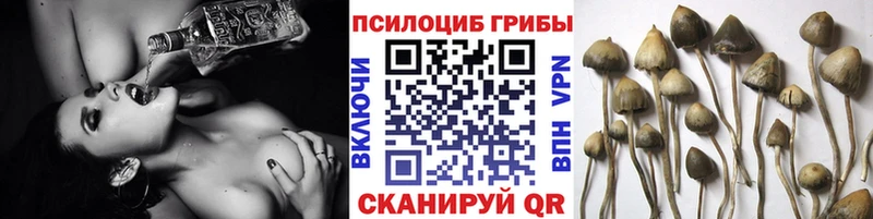Псилоцибиновые грибы прущие грибы  купить наркотики цена  Верхняя Салда 