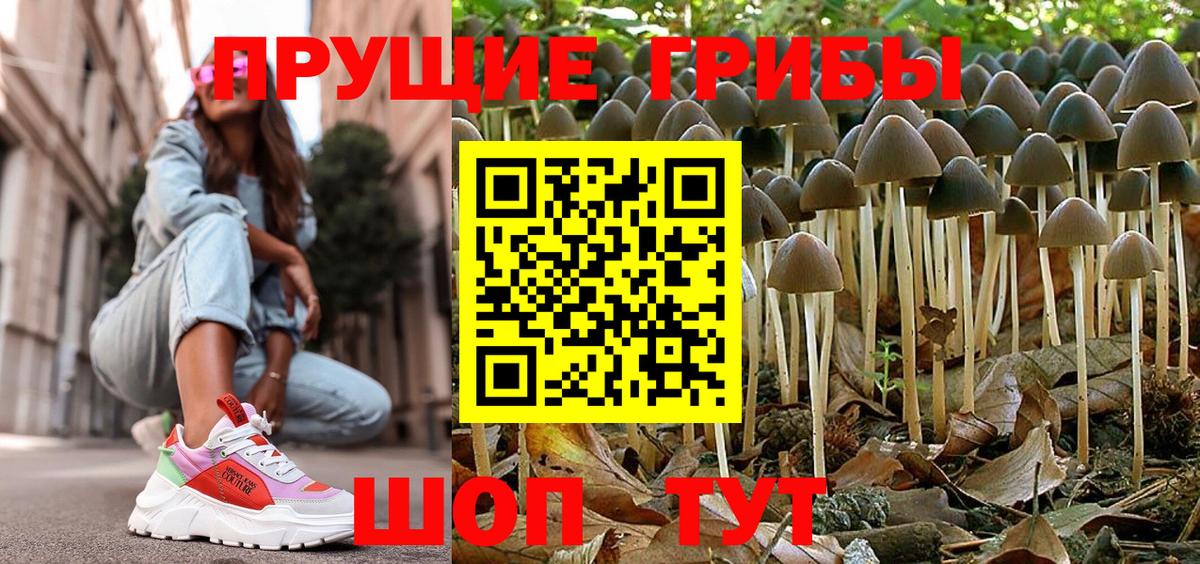 Псилоцибиновые грибы Magic Shrooms Верхняя Салда